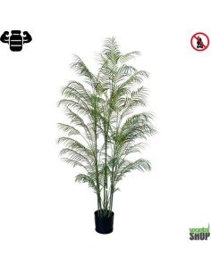 Areca Palm 150 cm X2 (pot inclus) ignifuge Plante artificielle anti feu vegetal shop