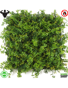 Mur végétal ignifugé BALIA 1M2 artificiel décoration restaurant magasin anti FEU UV vegetal shop