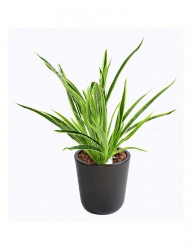 Plante tropicale dracaena 2 tons vert best seller H40 artificiel tergal enduit premium VEGETAL SHOP
