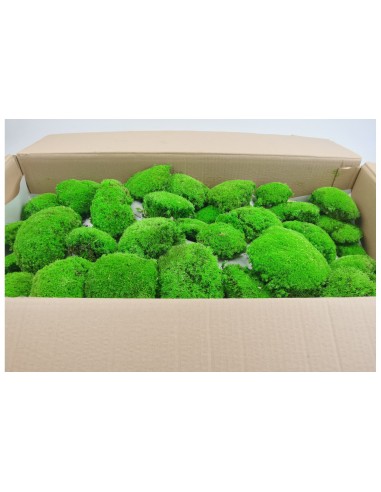 Carton Mousse Boule PREMIUM light green natural 3KG 1M2 best saddler vegetal shop