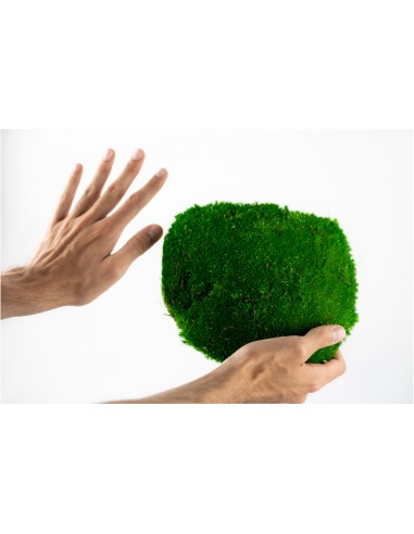Carton Mousse Giant ball stabilised green Natural 3KG 1M2 best saddler vegetal shop