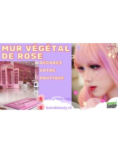 Mur de Rose FLEUR mix ROSE ISABELLA 60x40 cm décoration... 2