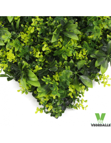 Mur-vegetal-1M2-pas-chere-ANTI-FEU