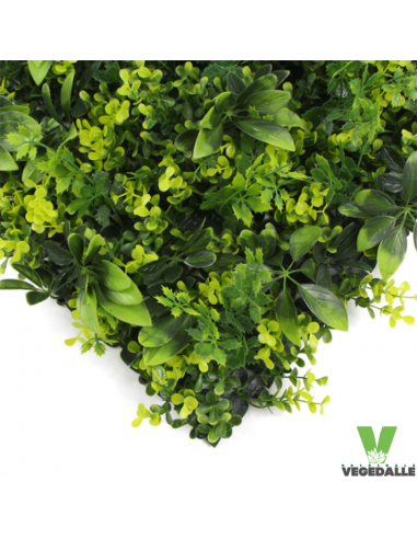 LOT 10+1 gratuite Mur végétal ignifugé BARBA 1M2 décoration restaurant boutique magasin anti FEU UV vegetal shop