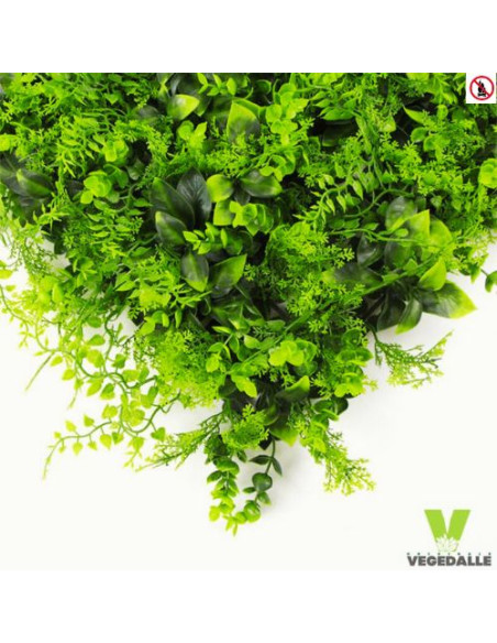 Mur-vegetal-1M2-pas-chere-ANTI-FEU