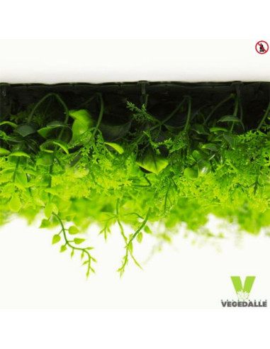 Mur-vegetal-1M2-pas-chere-ANTI-FEU