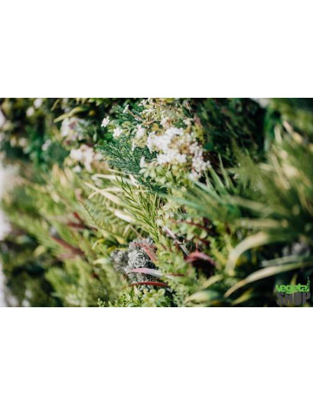 Mur multi-végétal 1M2 Décoration panneau artificiel sans entretien anti FEU UV vegetal shop
