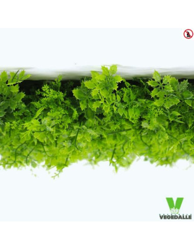 LOT 10+1 gratuite Mur plafond végétal FOLIA 1M2 décoration restaurant boutique magasin anti FEU UV vegetal shop