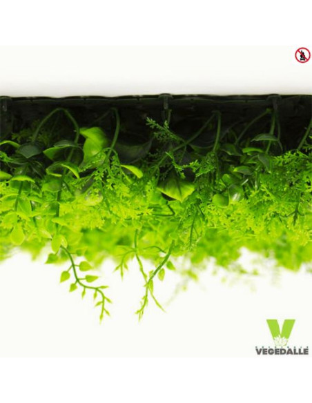 LOT 10+1 offerte Mur végétal ignifugé VERDA 1M2 décoration restaurant boutique magasin anti FEU UV vegetal shop