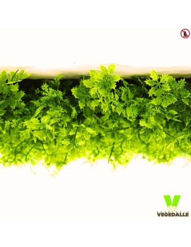 LOT 10+1 offerte Mur végétal ignifugé VERDA 1M2 décoration restaurant boutique magasin anti FEU UV vegetal shop