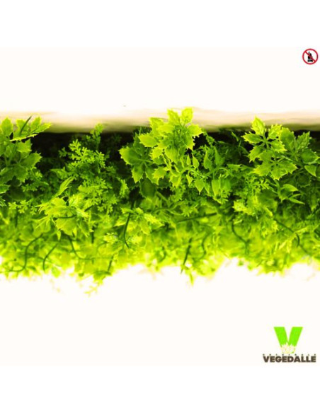 LOT 10+1 offerte Mur végétal ignifugé VERDA 1M2 décoration restaurant boutique magasin anti FEU UV vegetal shop