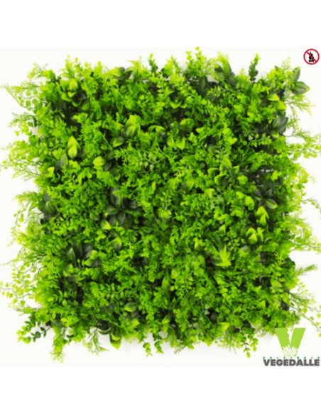 LOT 10+1 offerte Mur plafond végétal VERDA 1M2 décoration restaurant boutique magasin anti FEU UV vegetal shop