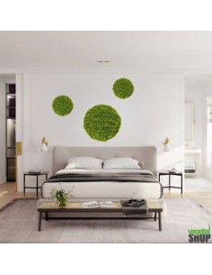 LOT 10+1 gratuit Cercle bois végétal 50/75 cm lichen... 2