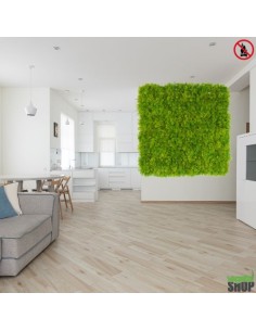Mur végétal lichen vert artificiel 10+1M2 ANTI UV NON IGNIFUGE vegetal shop