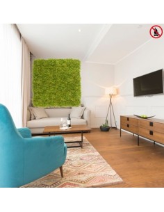 Mur plafond végétal lichen vert LOT 10+1M2 Offert 1M2... 2