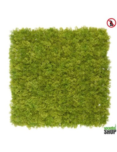 Mur plafond végétal lichen vert LOT 10+1M2 Offert 1M2 Décoration artificiel anti FEU UV vegetal shop