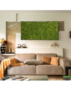 Tableau végétal lichen vert MOUSSE ÉMERAUDE cadre noir...