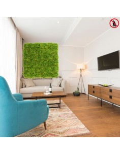 Mur plafond végétal lichen vert clair MOUSSE ÉMERAUDE 1M2... 2