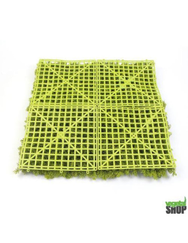 Mur plafond végétal lichen vert foncé ÉMERAUDE...