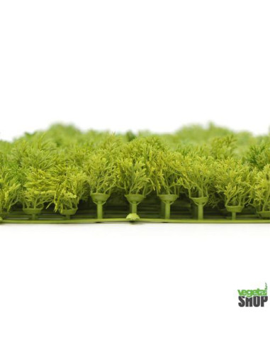 Mur plafond végétal lichen vert foncé ÉMERAUDE...