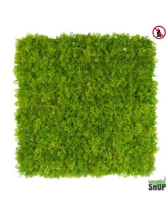 Mur plafond végétal lichen vert foncé ÉMERAUDE 1M2...