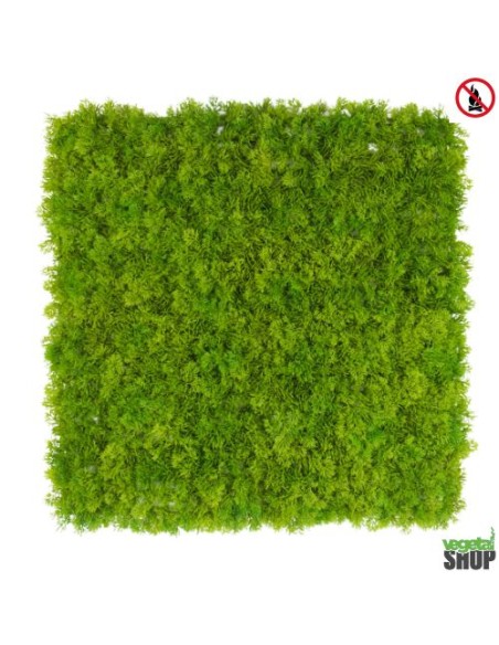 Mur plafond végétal lichen vert foncé ÉMERAUDE 1M2 Décoration artificiel sans entretien anti FEU UV vegetal shop