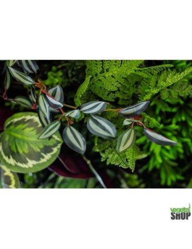 Tableau 4 multi-végétal 0,5M2 ANTI UV NON IGNIFUGE vegetal shop