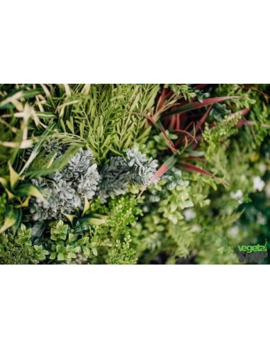 comment faire un mur vegetal soi meme artificiel