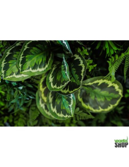 Tableau 6 multi-végétal 0,5M2 ANTI UV NON IGNIFUGE vegetal shop
