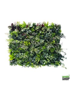 LOT 10+1 gratuit Tableau 1+2+3 multi-végétal 0,5M2 sans... 2