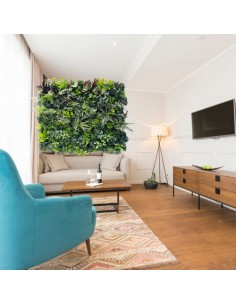 LOT 10+1 gratuit Tableau 1+2+3 multi-végétal 0,5M2 sans...