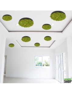 LOT 10+1 offert Plafond Cercle noir végétal 50/75 cm... 2