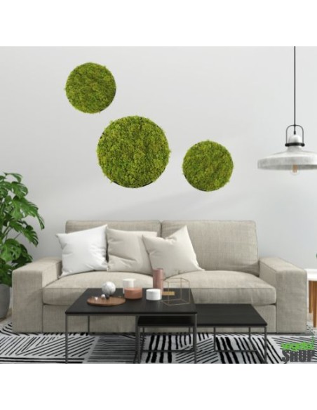 LOT 10+1 offert Cercle noir végétal 50/75 cm lichen vert MOUSSE ÉMERAUDE Décoration artificiel anti FEU UV shop
