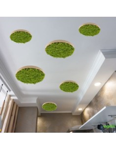Plafond cercle bois végétal lichen vert MOUSSE ÉMERAUDE... 2