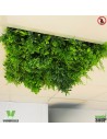 plafond-vegetal-commerce-boutique