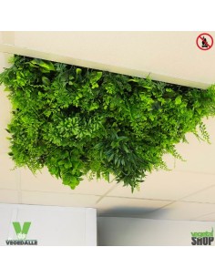Plafond Lot 6 Dalle végétale VEGEDALLE VERDA PREMIUM...