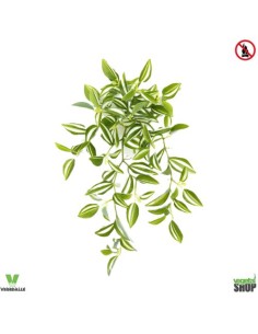 Tradescantia Fluminensis 34 cmartificiel plante ignifuge...