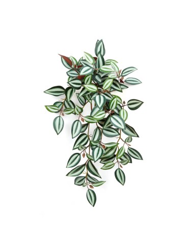 Tradescantia x24 Zebrina 34 cmartificiel plante ignifuge anti-feu vegetal shop