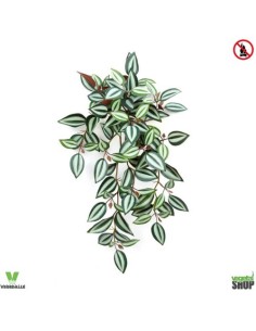 Tradescantia Zebrina 34 cmartificiel plante ignifuge...