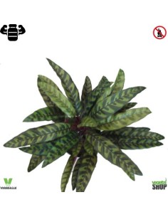 Calathea Insignis 38 cm artificiel plante ignifuge...