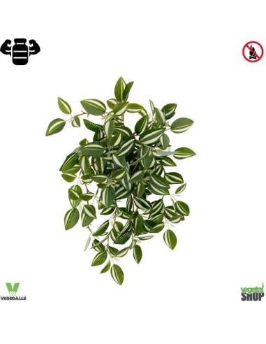 Tradescantia x16 Fluminensis 50cm artificiel plante ignifuge anti-feu vegetal shop