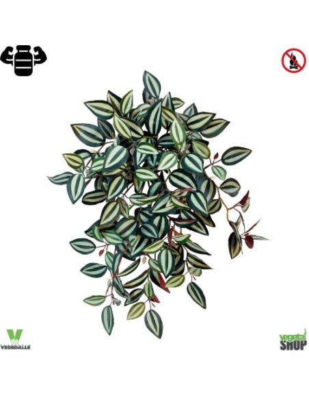 Tradescantia x16 Zebrina 50cm artificiel plante ignifuge anti-feu vegetal shop