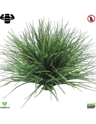 Wheatgrass ball 50 cm artificiel plante ignifuge anti-feu vegetal shop