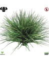 Wheatgrass ball 50 cm artificiel plante ignifuge anti-feu vegetal shop