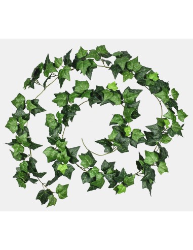 Guirlande x2 Hedera helix 270 cm artificiel plante ignifuge anti-feu vegetal shop