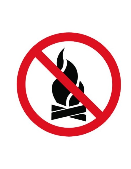 Calathea orbifolia 40cm ignifuge anti-feu vegetal shop