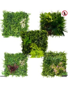 Plafond Lot 6 Dalle végétale MIX BEST SELLER VEGEDALLE...