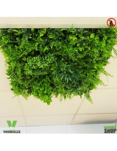 Plafond Lot 5 Dalle végétale VEGEDALLE VERDA PREMIUM Vert...
