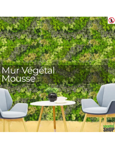 LOT 10+1 gratuite Mur plafond végétal LICHEN-A 1M2 décoration restaurant boutique magasin anti FEU UV vegetal shop
