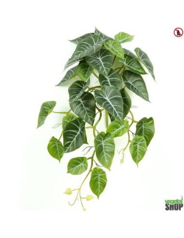 Alocasia x10 reginula 40cm artificiel plante ignifuge anti-feu vegetal shop